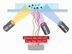 Portable Fluorescent Systems