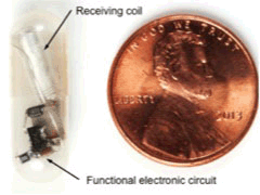 Neural Stimulators