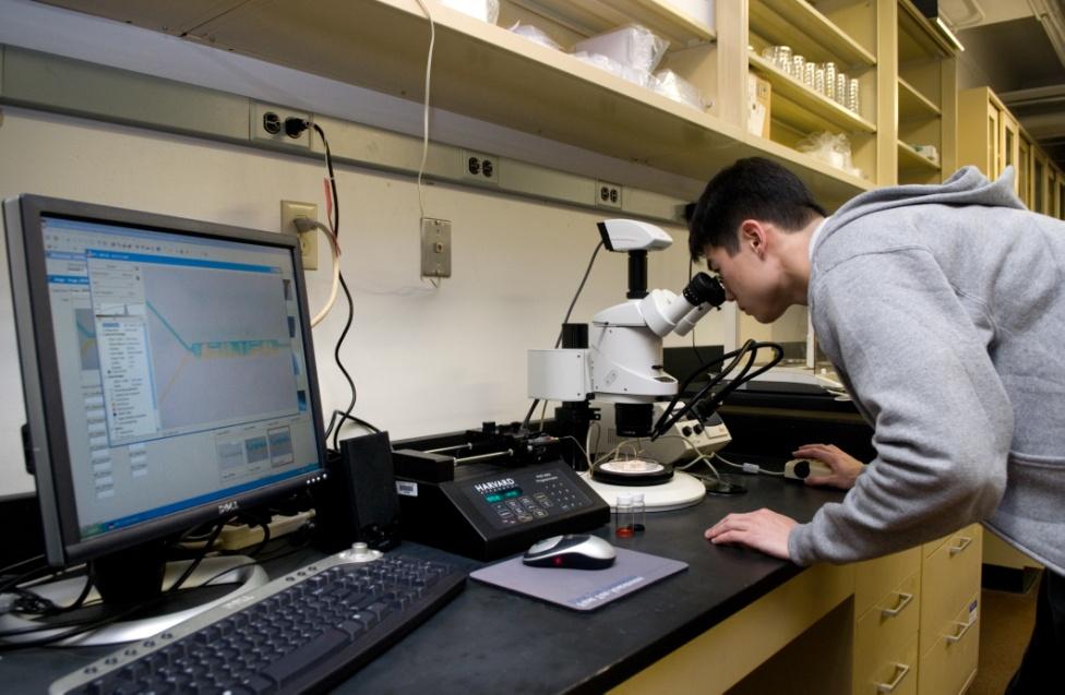Student working in the lab.