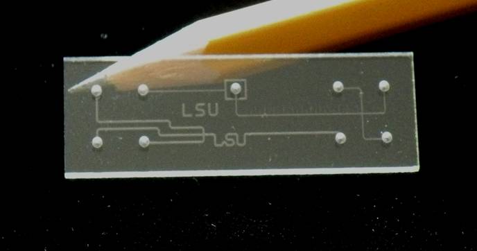 Photo of a biochip.