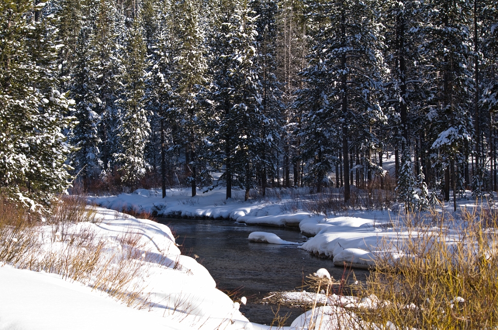 IMGP3047.jpg