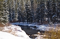 IMGP3047