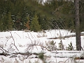 IMG_4642